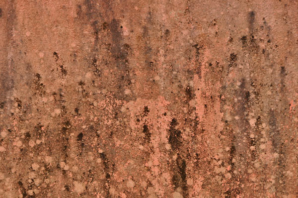 indian walls 2010_nr.5