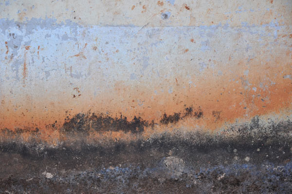 indian walls 2010_nr.11