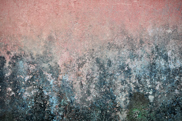 indian walls 2010_nr.4