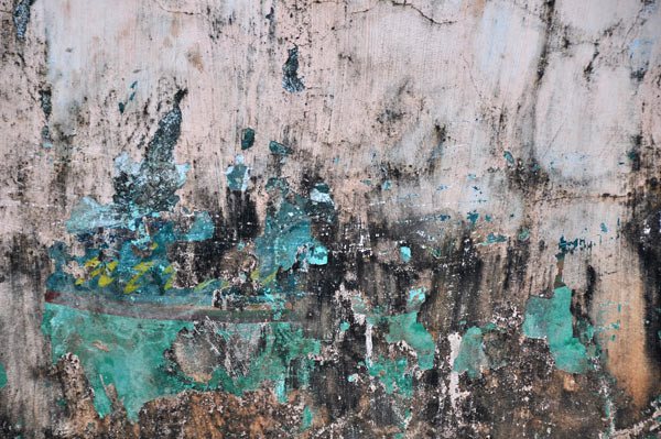 indian walls 2010_nr.17