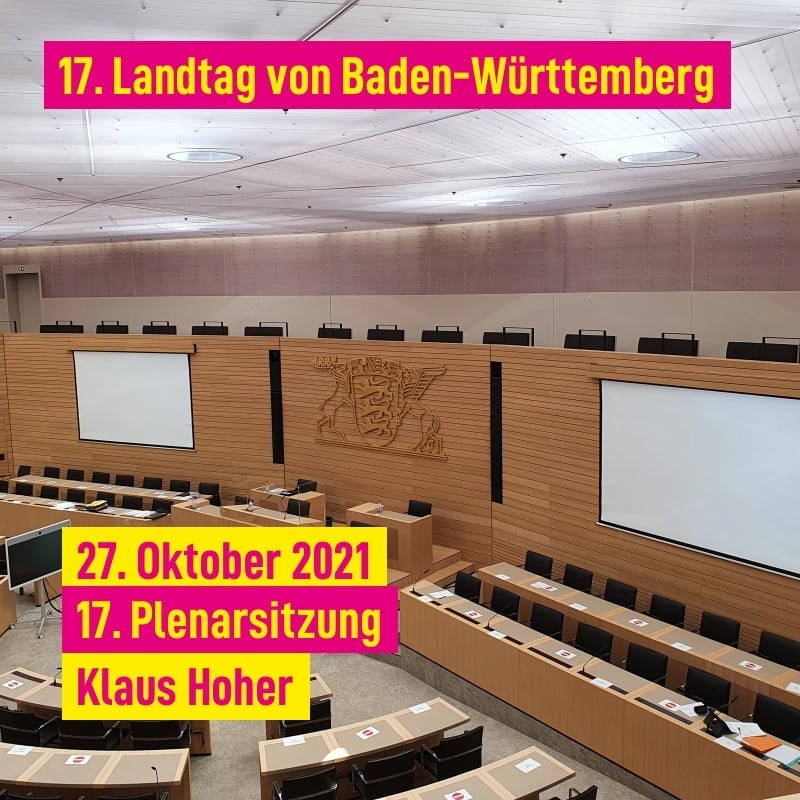 17. Plenarsitzung in Stuttgart