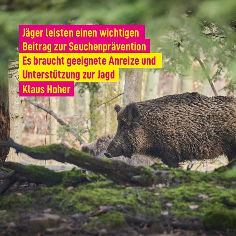 Jägerschaft erfüllt wichtige Aufgabe bei der Seuchenprävention und muss unterstützt werden!