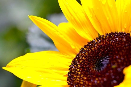 Schritte aus der Depression - Teil 2