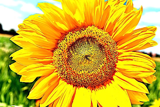 Bist du traurig oder depressiv? Das sind die Unterschiede