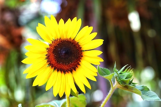 Schritte aus der Depression - Teil 3