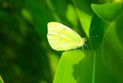 7 Tipps - Beruf und Berufung für hochsensible Menschen