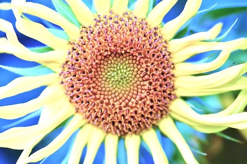 Was ist eine hochfunktionale Depression?