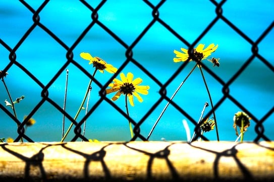 Schritte aus der Depression - Teil 4