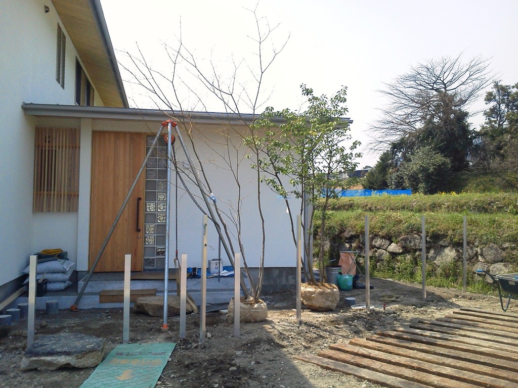 踏込石　ハウチワカエデ・ソヨゴを仮配置