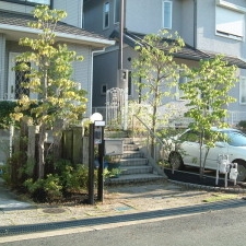 剪定　施工事例　Ａｆｔｅｒ！！