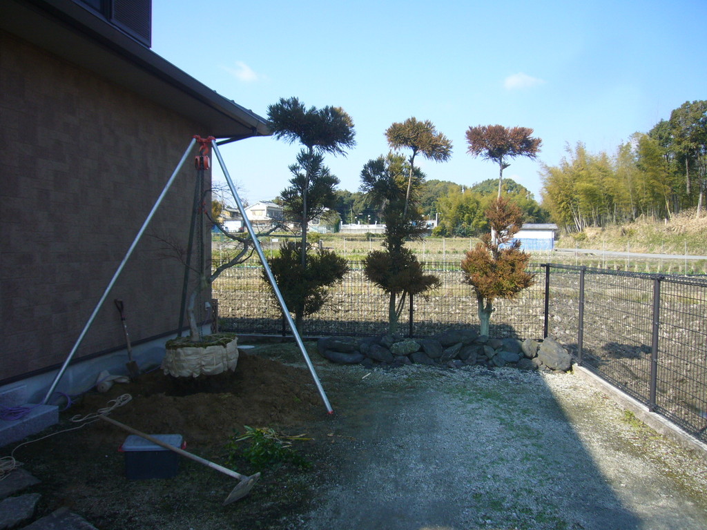 既存樹堀取・移植 造園・外構・エクステリア工事@奈良県北葛城郡広陵町