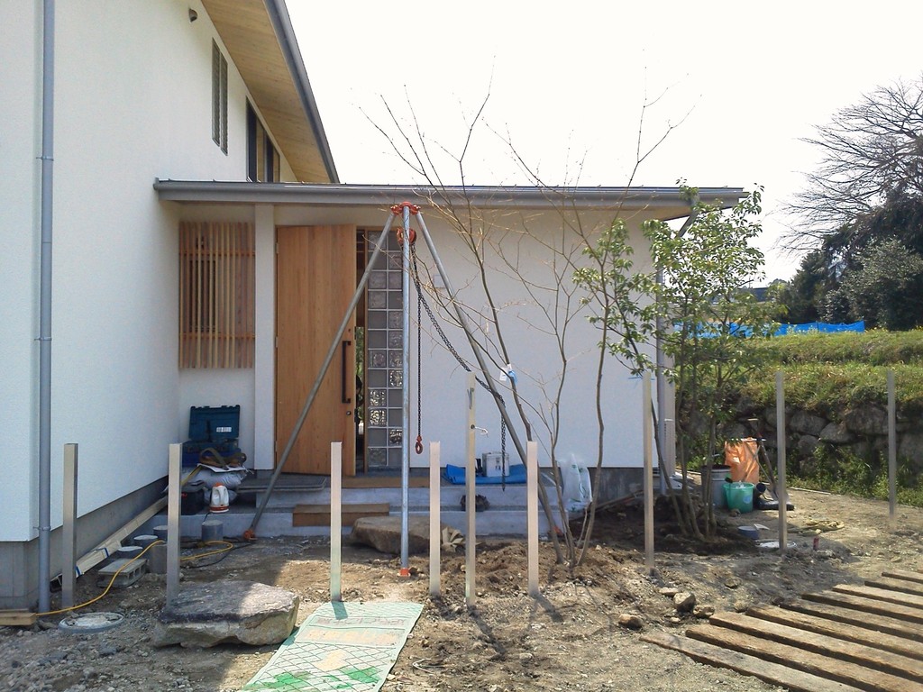 ハウチワカエデ・ソヨゴ植栽完了