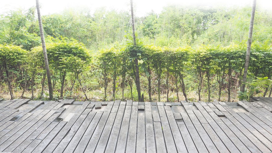 Manchmal braucht es eine Erneuerung..