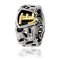 Weissgold Monogrammring Mikrokosmos mit persönlichem Initialen in Gelbgold