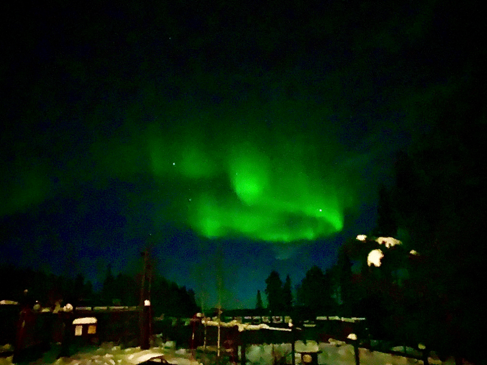 Nordlicht über den Hunden
