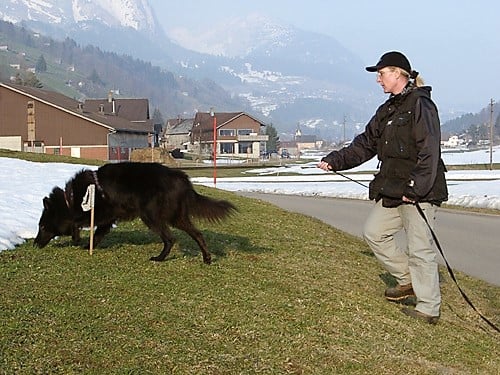 Sandra Link © Hundeschule gooddog