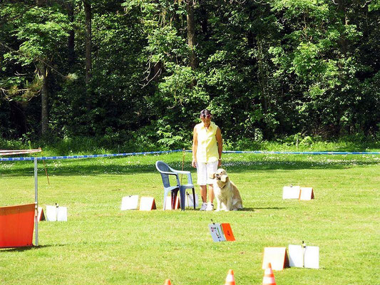 Rally-Obedience © Hundeschule gooddog