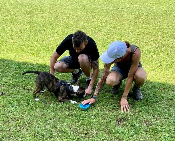 SpassSport © Hundeschule gooddog