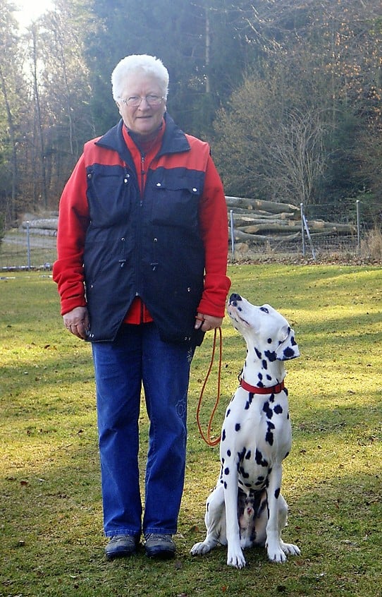 Begleithund/Obedience © Hundeschule gooddog