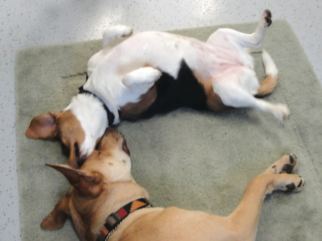 Fun times for all guests.