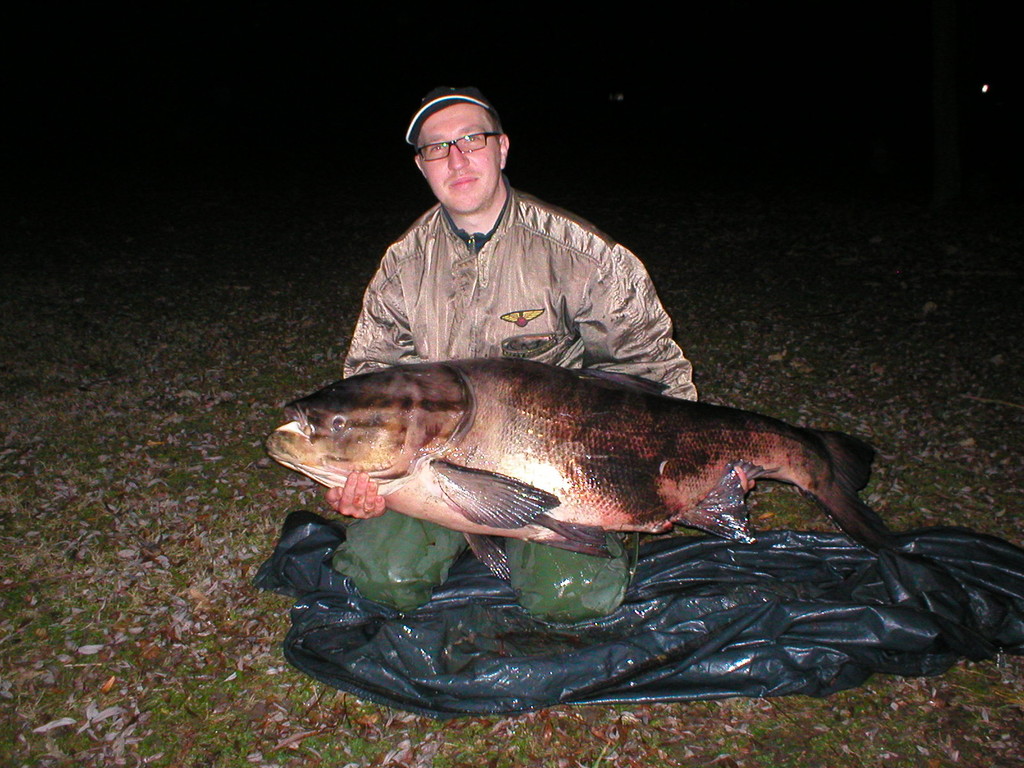 Marmorkarpfen 37,5 kg gefangen im Bahnweiher am 29.11.2009