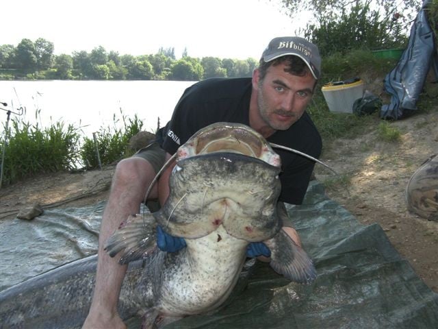 Heiko Weis mit einem Riesen Waller 2,20m 78 Kg