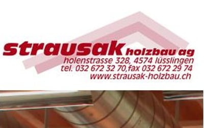 Minergieholzbau Immobilien Solothurn