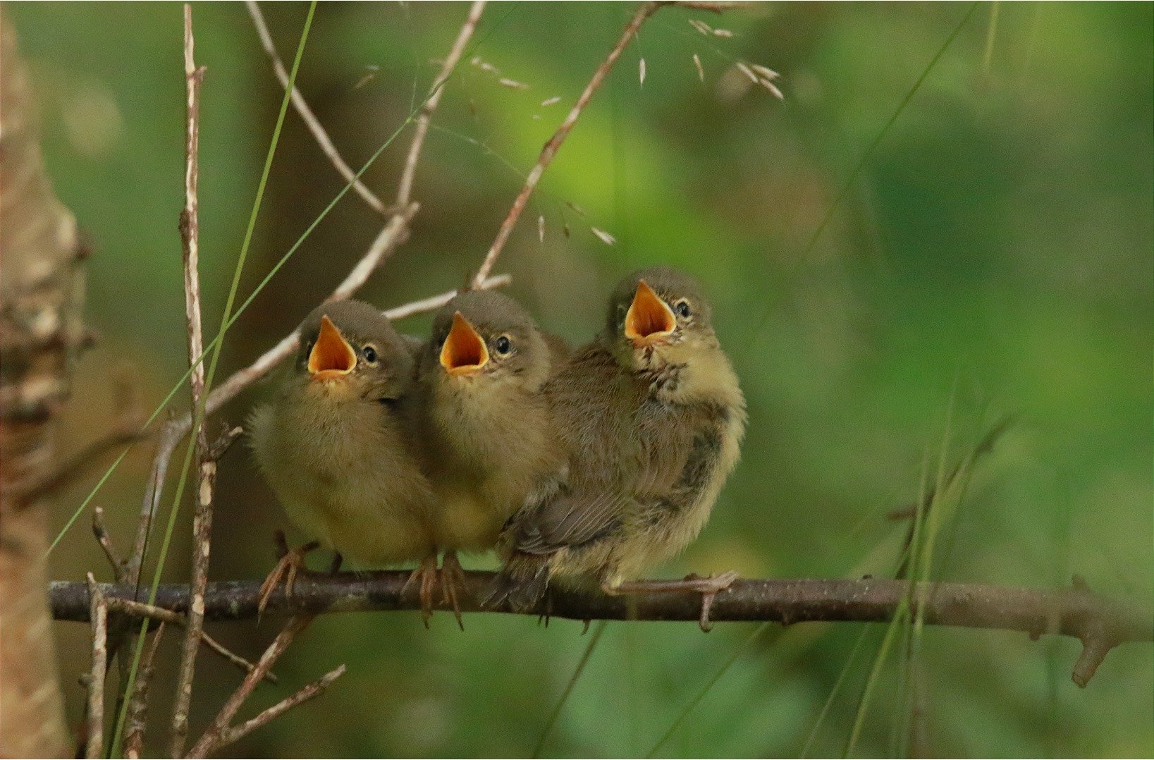 Zingen op gevoel - 16 maart 2026