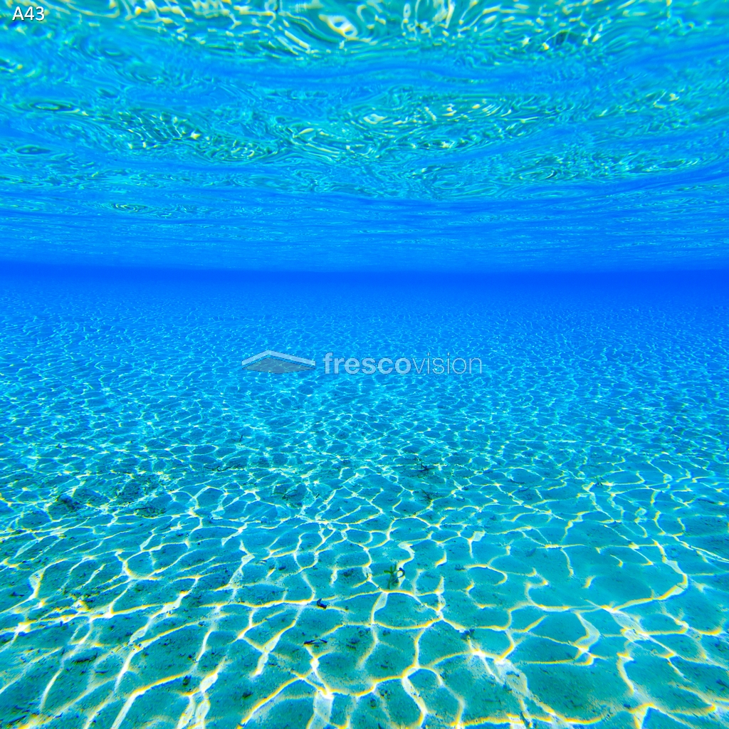 Beleuchtete Rückwand für Meerwasser-Aquarien.