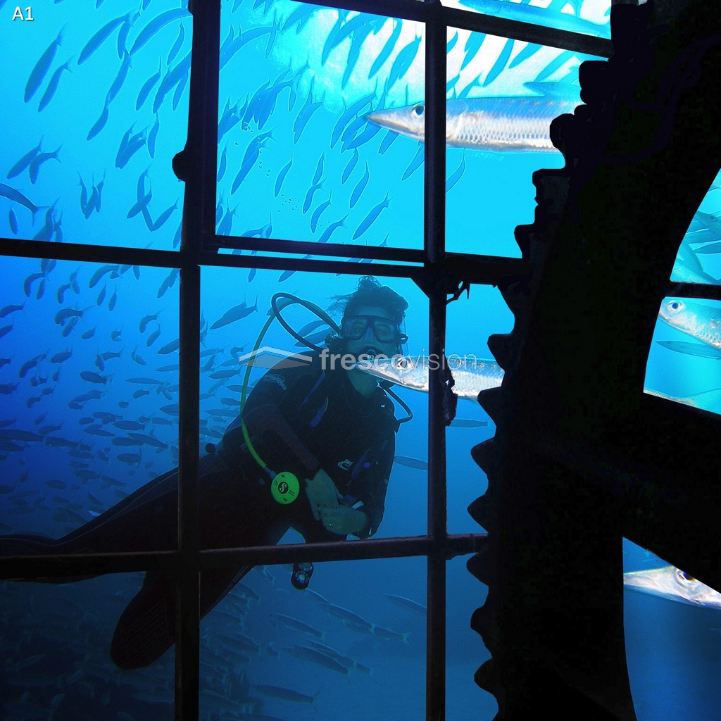 Aquarium Rückwand Taucher, blendfrei und lichtbeständig