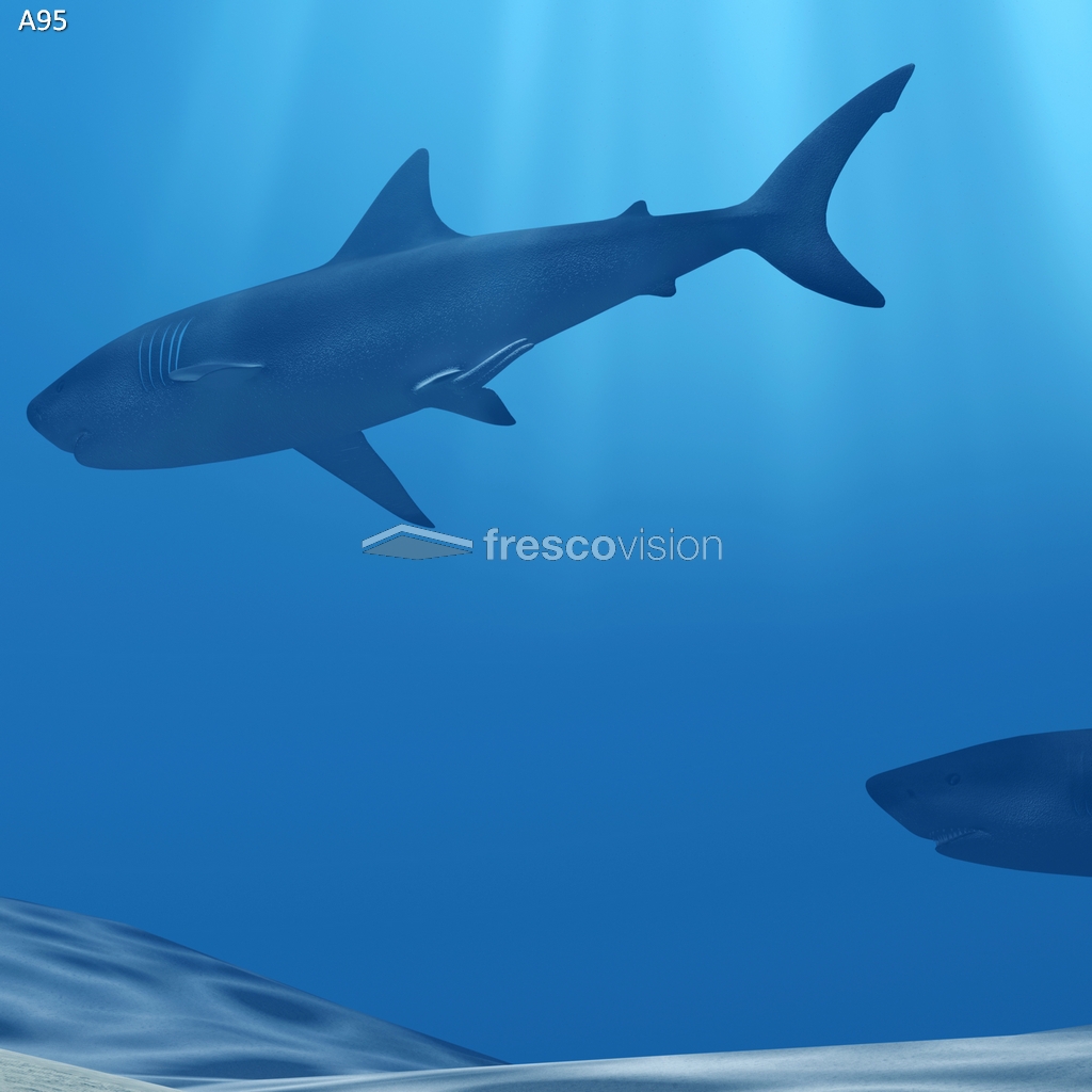 Beleuchtete Rückwand mit tropischem Hai