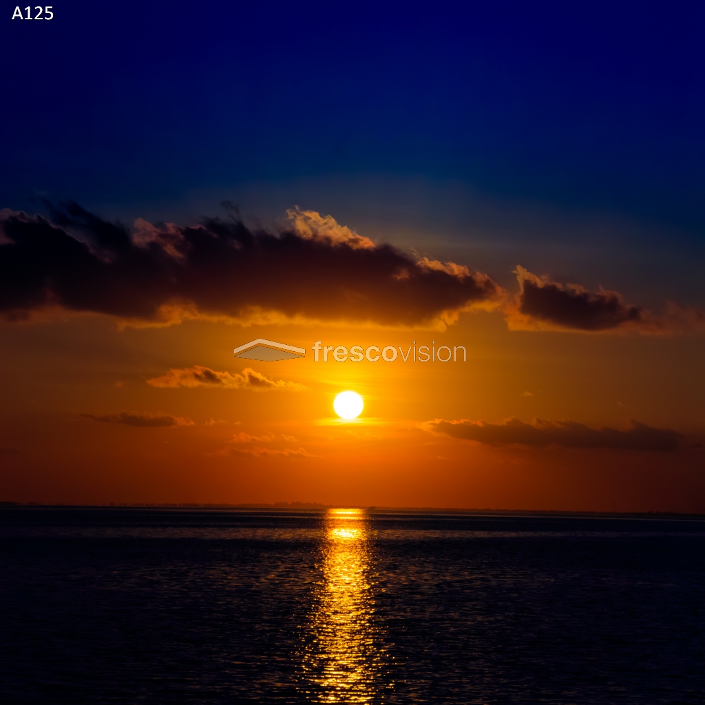 Aquarium mit LED-Rückwand für ideale Lichtverhältnisse.