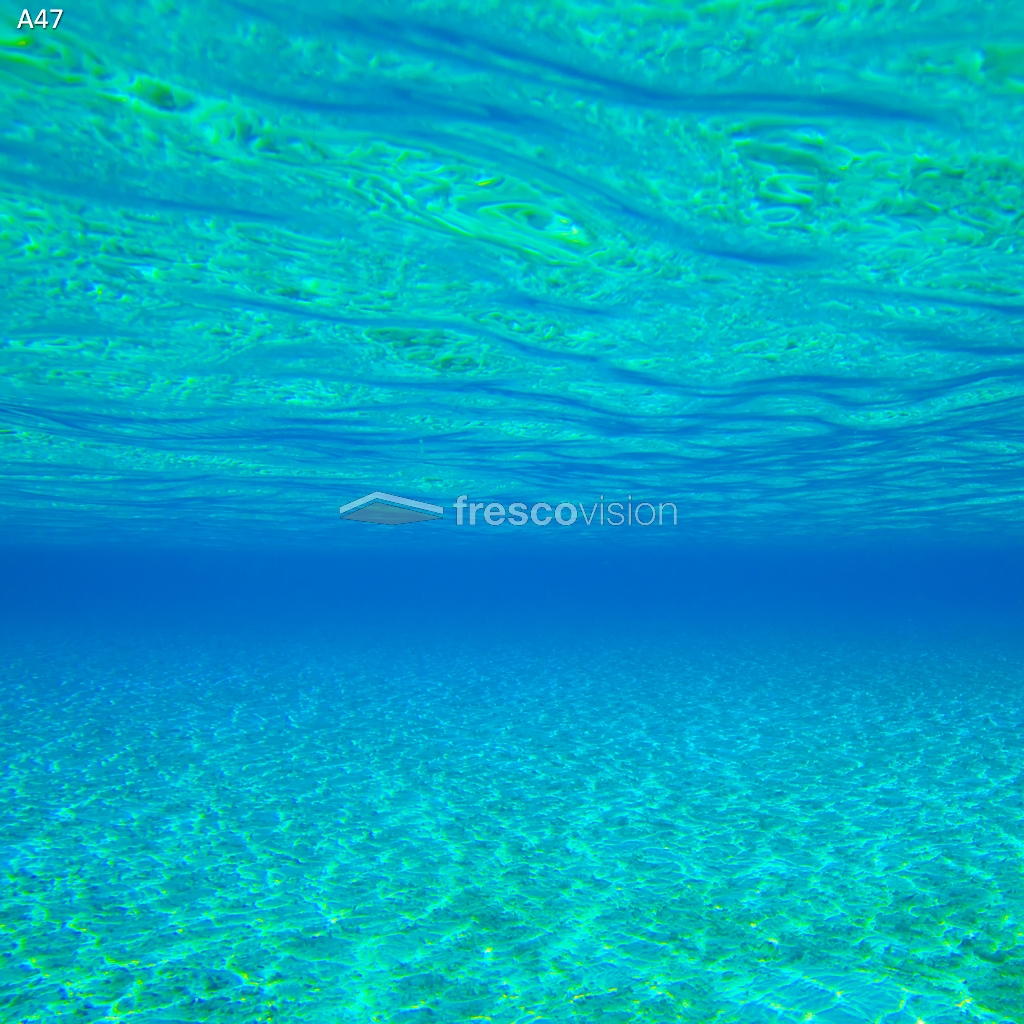 Rückwand mit LED-Backlight für Aquarien.