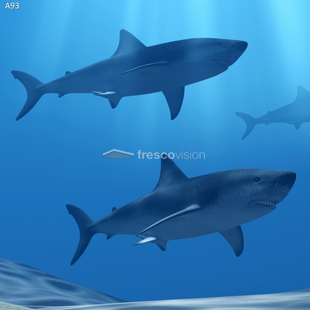 Beleuchtete Rückwand mit Haien für ein faszinierendes Meerwasser-Aquarium.