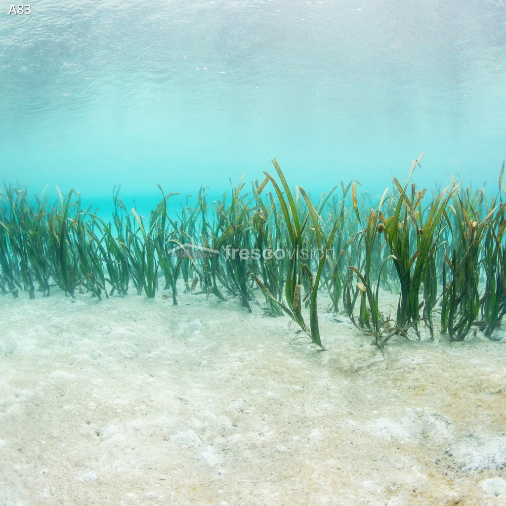 LED-Rückwand mit ruhigen Wellen und Sandbank