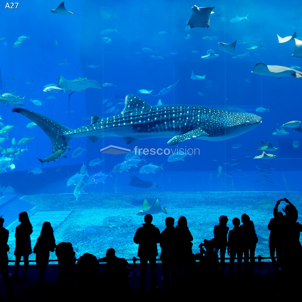 Rückwand mit LED-Backlight für Aquarien