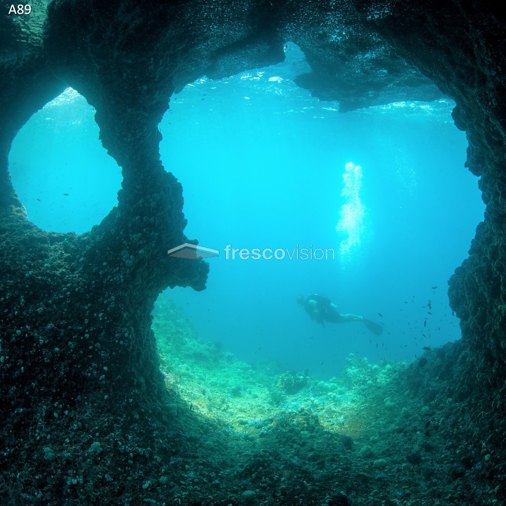LED-Aquarienrückwand mit natürlichen Felsen und Höhle