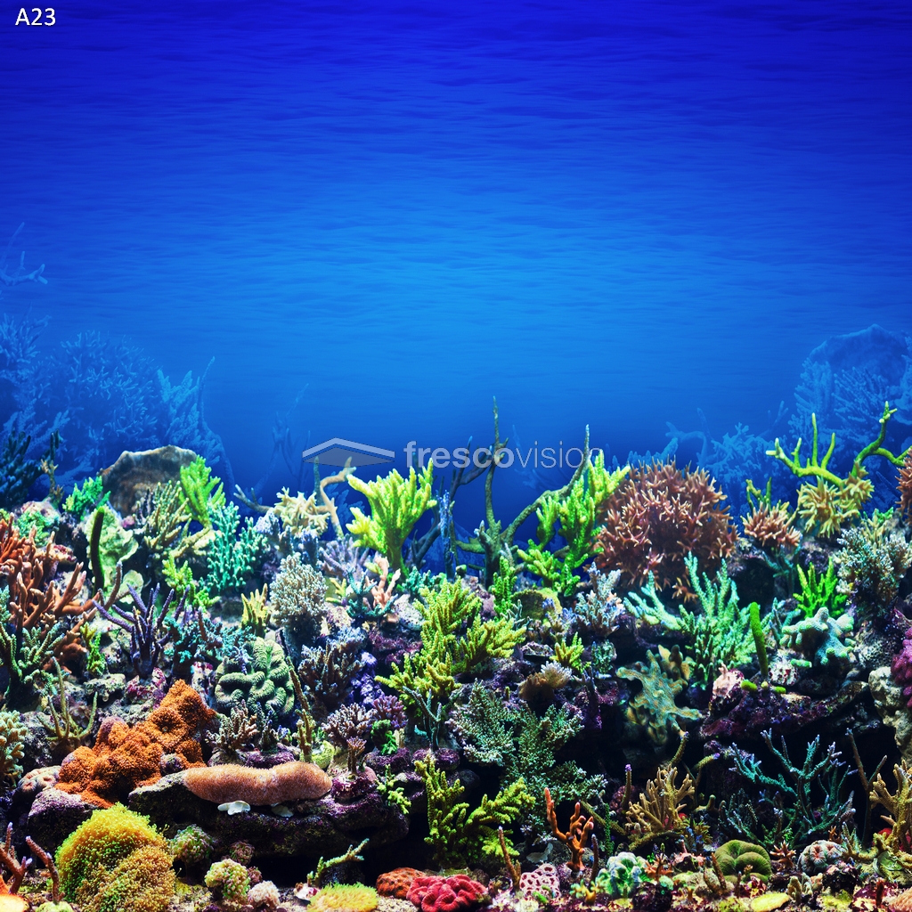 Beleuchtete Rückwand für stressfreie Aquarienbewohner.