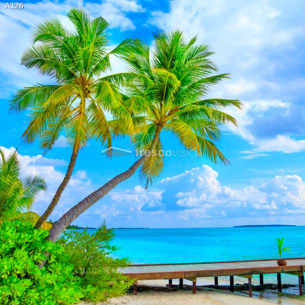 LED-Rückwand mit ruhigen Wellen und Strand und Palmen
