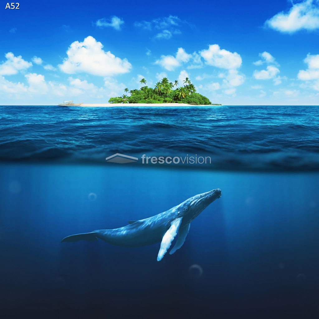 Wal als Motiv-Rückwand für Meerwasser-Aquarium.