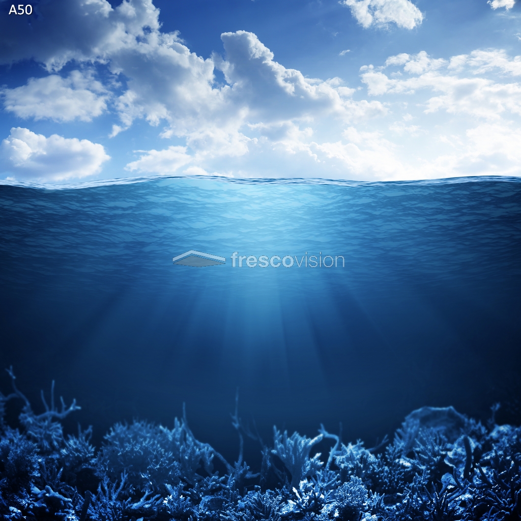 LED-Aquarienrückwand, perfekte Wahl für Backlight.