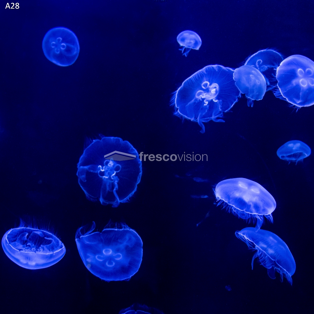 LED-Rückwand als neue Alternative zu Folien.