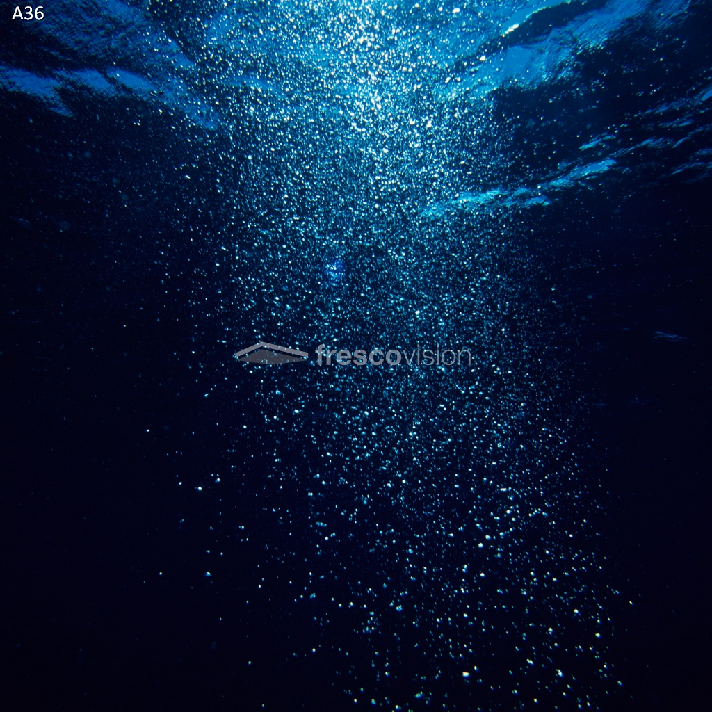 Rückwand für beeindruckende Aquarienlandschaft