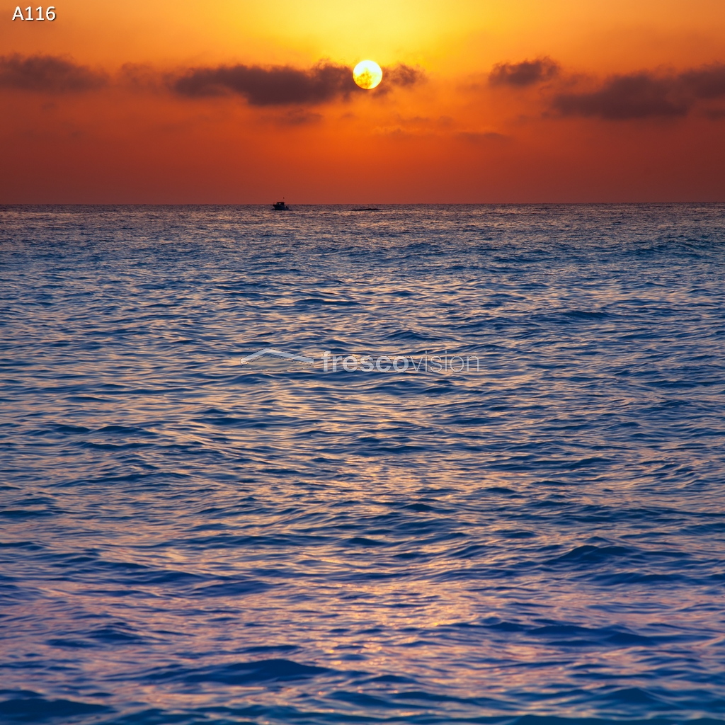 Backlight-Rückwand mit tropischem Sonnenuntergang 