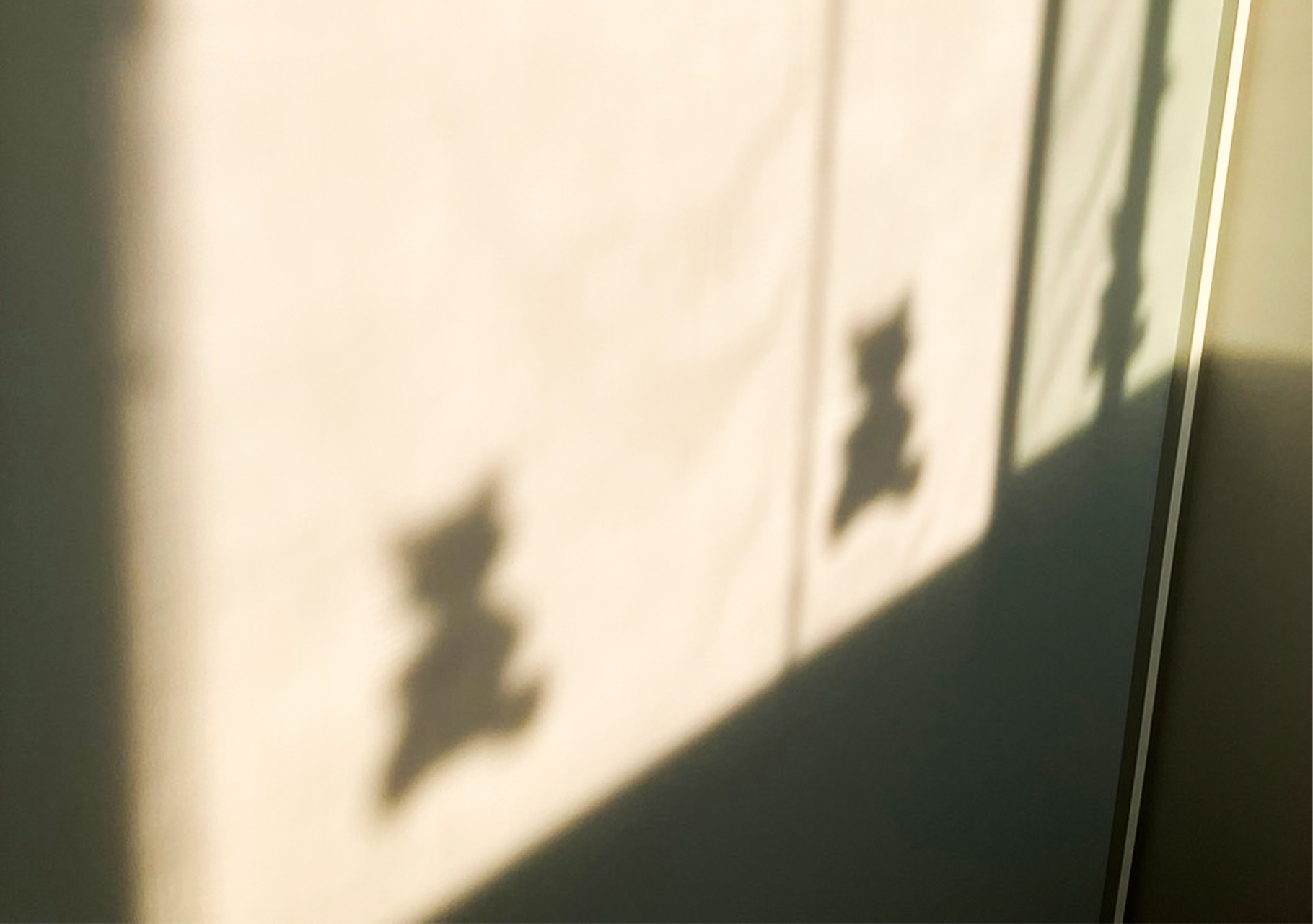 娘の部屋のダブルシェード