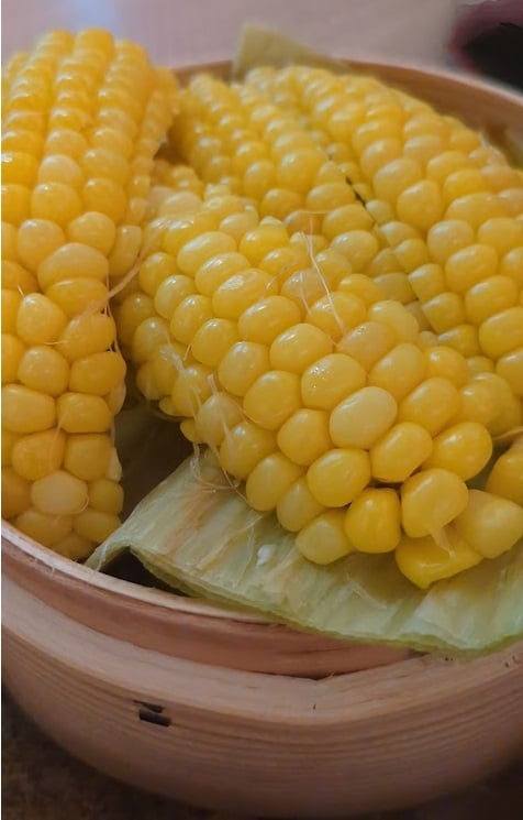 日本の農産物 日本で一番甘いとうもろこし 青森県「嶽きみ（だけきみ）」