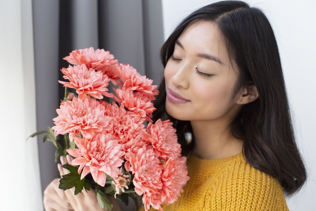 日本文化 9月9日は重陽の節句　菊の被綿（きせわた）