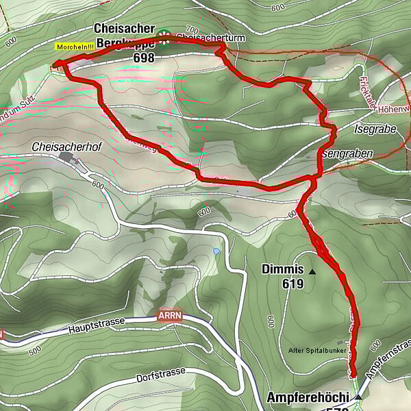 Route zum Cheisacher Turm & retour Ampflerehöchi