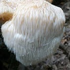 13. Bestimmungsabend 2025