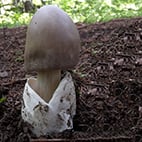 18. Bestimmungsabend 2025